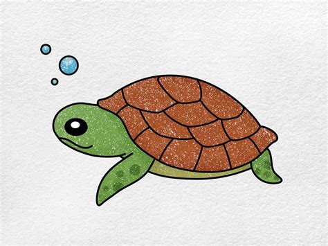 cartoon drawing of a turtle|More.